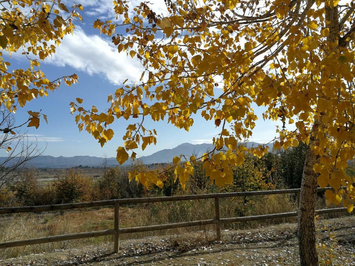 Penzion Casa Rural L'Avia Tica Benissuera Exteriér fotografie